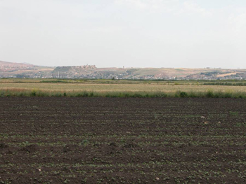 Qalaat el Moudiq, la citadelle d’Apamée, vue depuis la plaine de l’Oronte. Vue vers le nord-est. Photo mission archéologique de Qalaat el Moudiq, citadelle d’Apamée