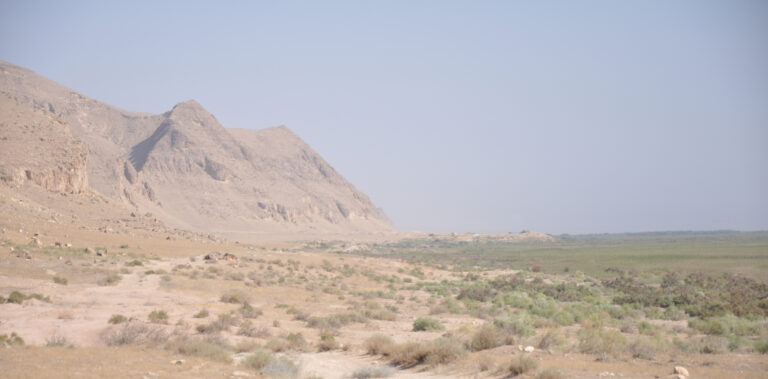 Takht-i Sangin: study of the Hellenistic settlement