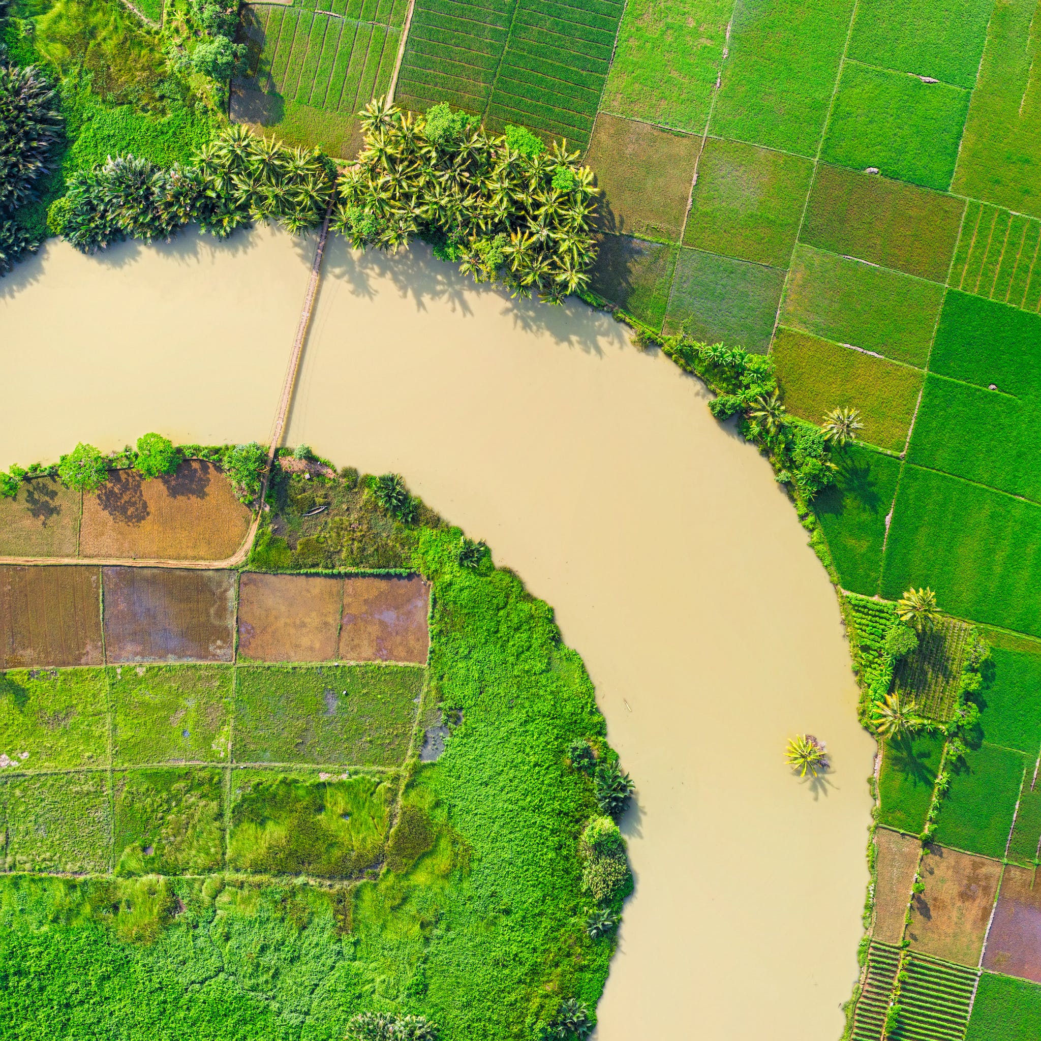 Top View Photo of River Near Farmland