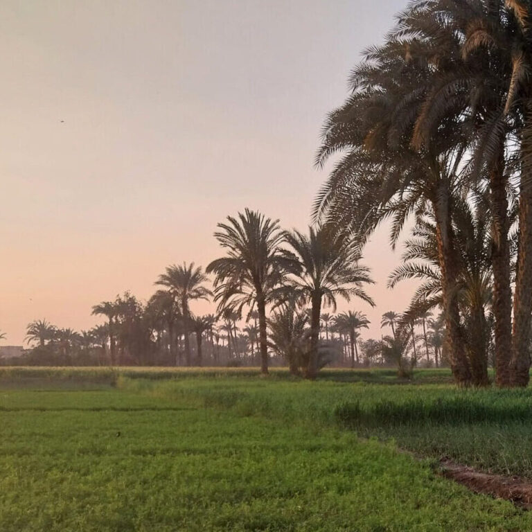 Séminaire “Étudier le stockage alimentaire dans la vallée du Nil : entre mythes historiographiques et découvertes archéologiques”.