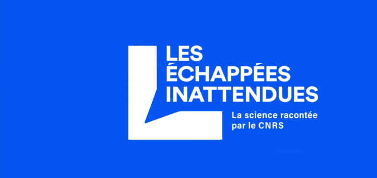 Les Échappées inattendues nationales du CNRS : ArScAn à l’affiche !