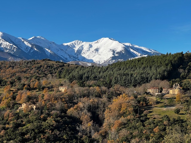Photographie d'un pic de montagne enneigé devant une vallée d'arbres conifères et de quelques roches
