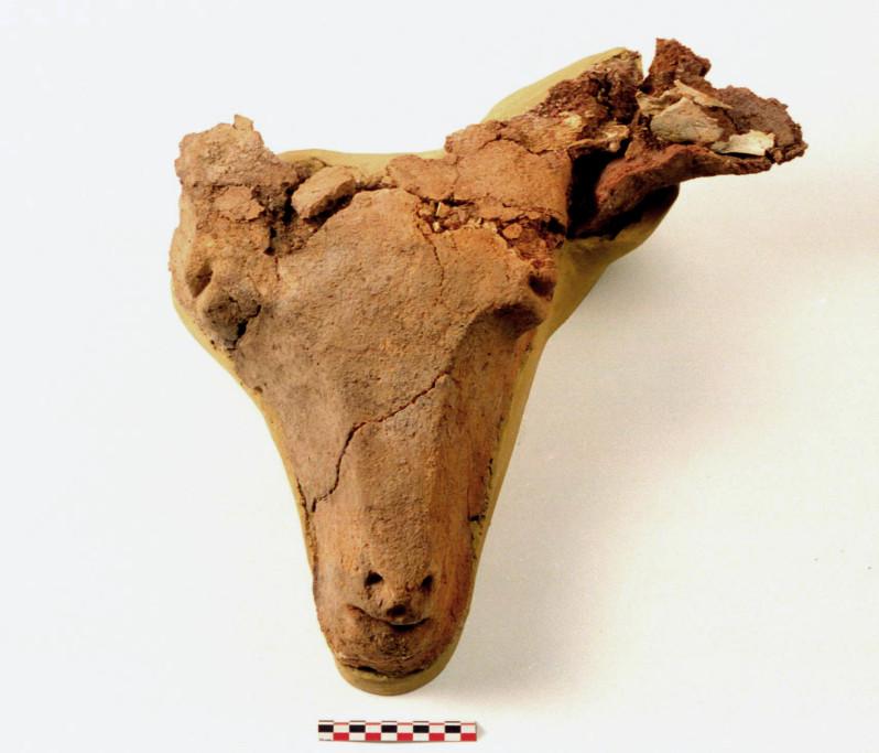 Natures : Couleur, Numérisé Format : 24 x 36 Identification Référence : C377-027 Date du document : 1996 Intitulé/Analyse : SUJET : BUCRANE FACE MATERIAU : TERRE CRUE Contexte Auteurs : Collet, Philippe (Auteur du document) Darcque, Pascal (Auteur du document) Contenu et structure Inventaire de la fouille : 95 301 102 41 16 Sources complémentaires Publications : BCH SUPPL. 55, p. 30, fig. 4 Indexation Géographie / View : Pays : Grèce Région : Macédoine Site : Dikili Tash