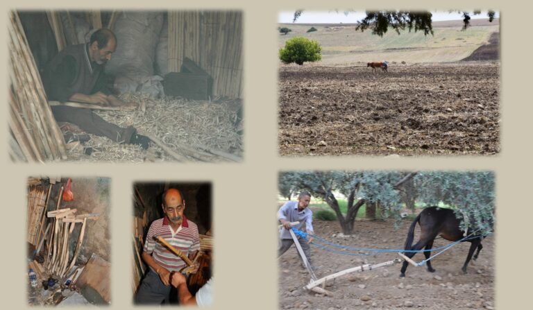 Séminaire | La culture matérielle : L’ethnoarchéologie, du passé au présent