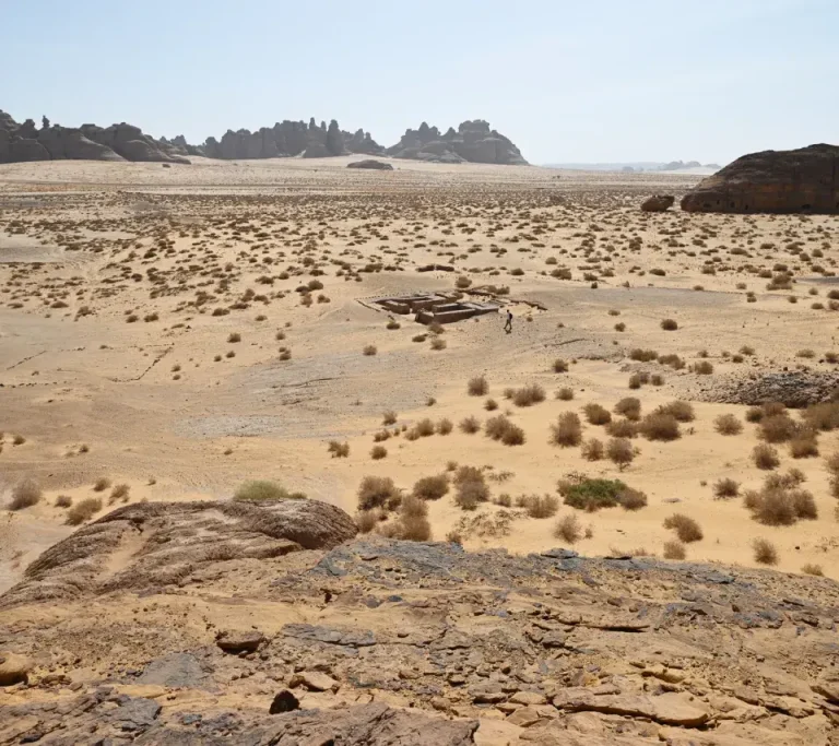 Hegra Archaeological Project (HAP)